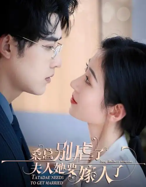 长街灯火 热播电视剧全集在线观看
